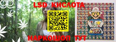 индика Обь