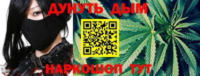 индика Обь
