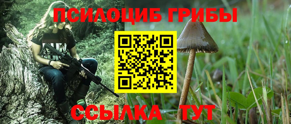 Псилоцибиновые грибы MAGIC MUSHROOMS Саяногорск
